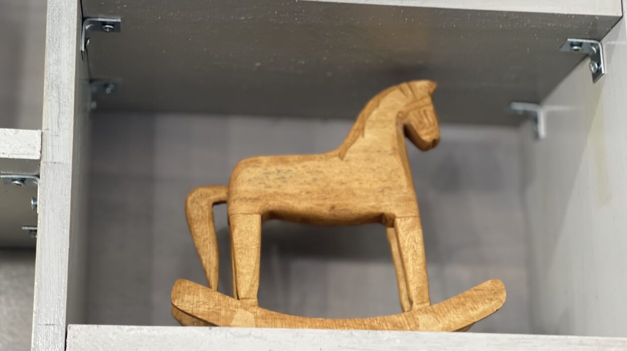 2023 12 19 zeperito wonderland