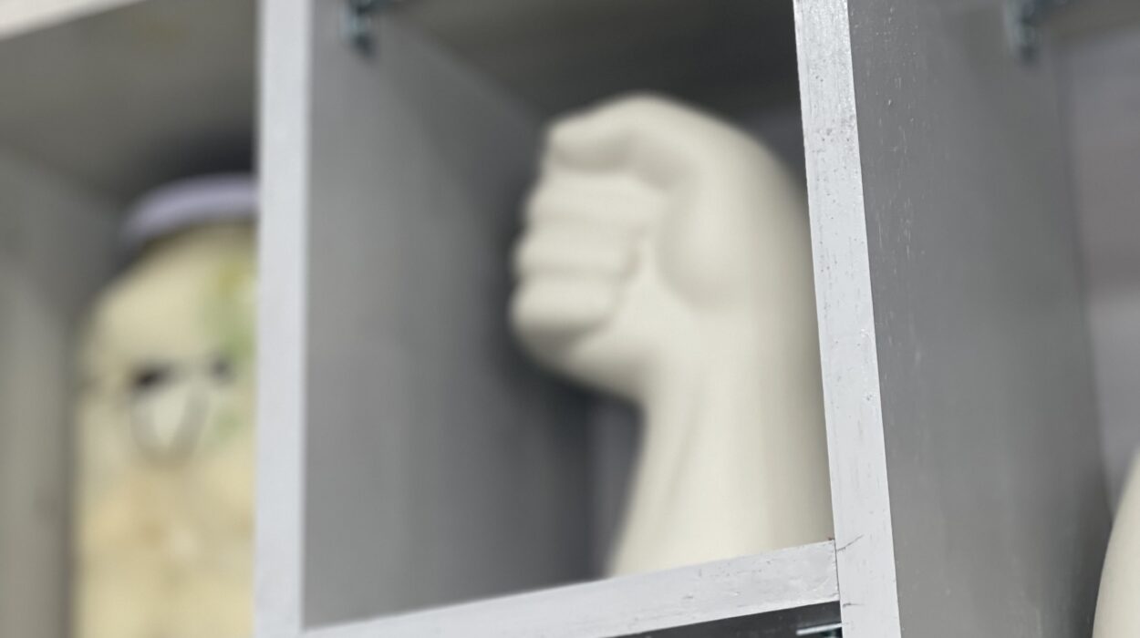 2023 12 20 zeperito wonderland