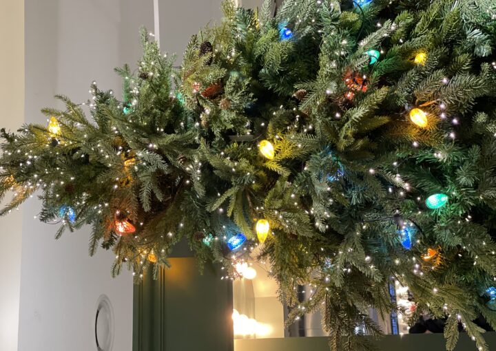 2023 12 23 Zeperito Wonderland