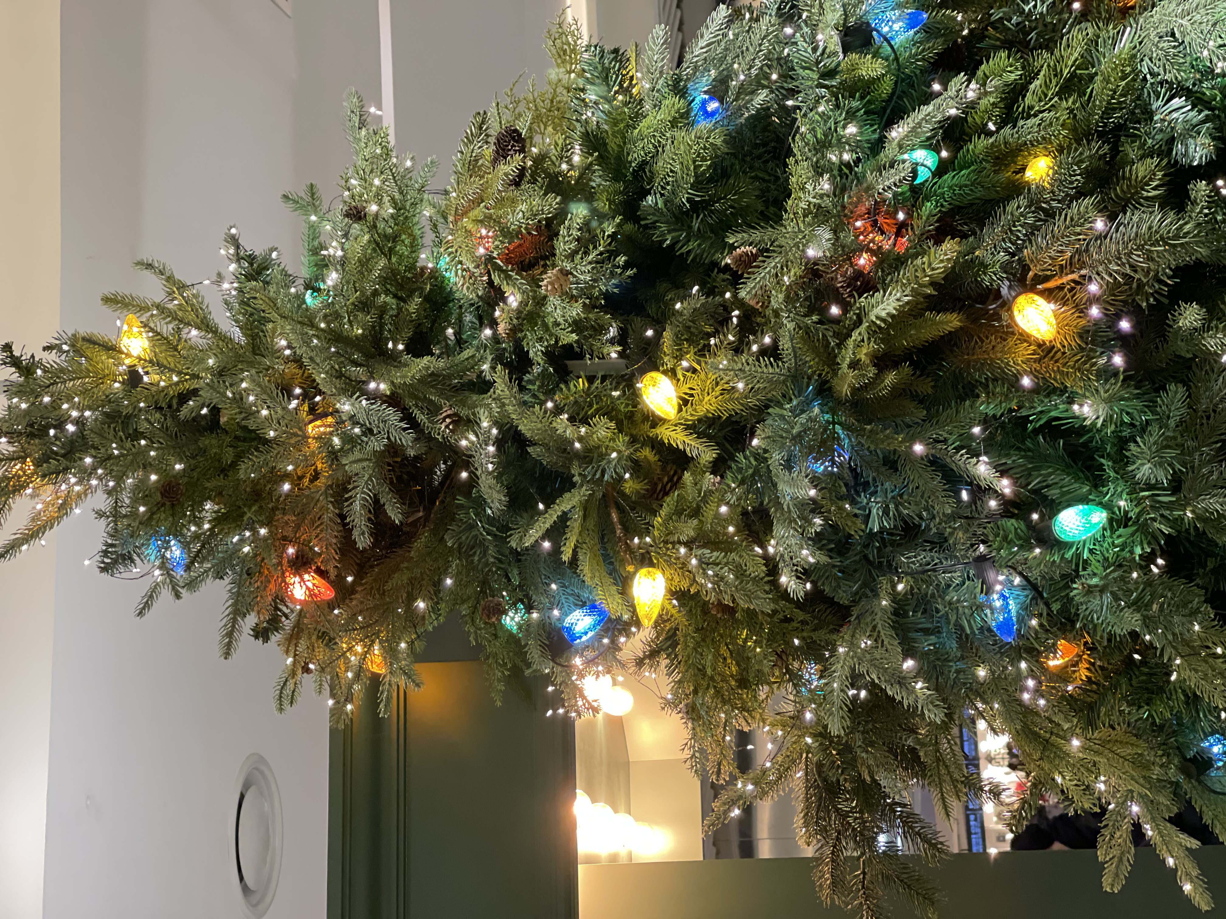 2023 12 23 Zeperito Wonderland