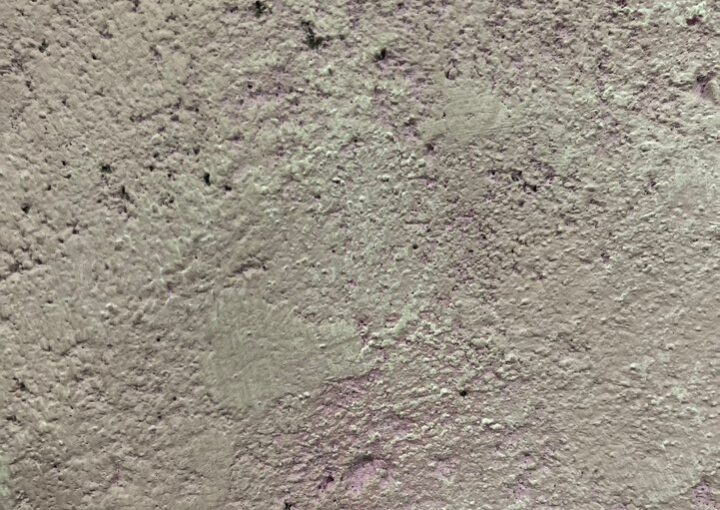 2024 01 14 zeperito wonderland