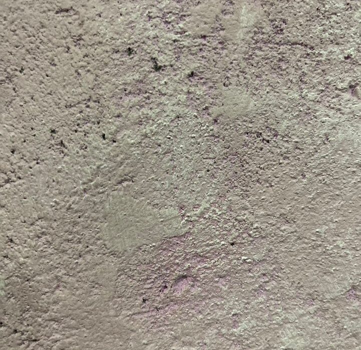 2024 01 14 zeperito wonderland