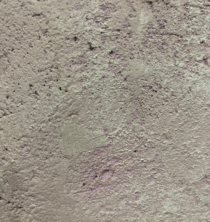 2024 01 14 zeperito wonderland