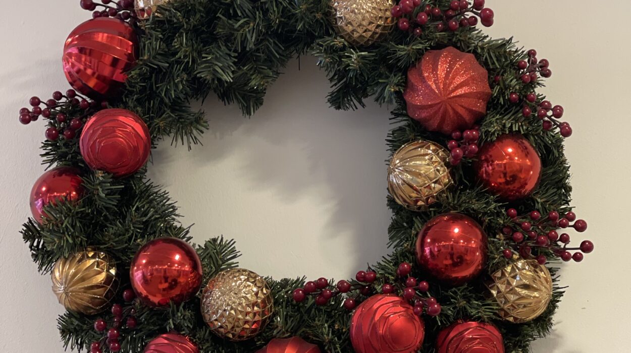 20240101 zeperito wonderland