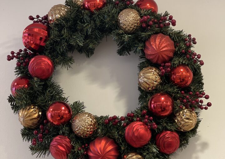 20240101 zeperito wonderland