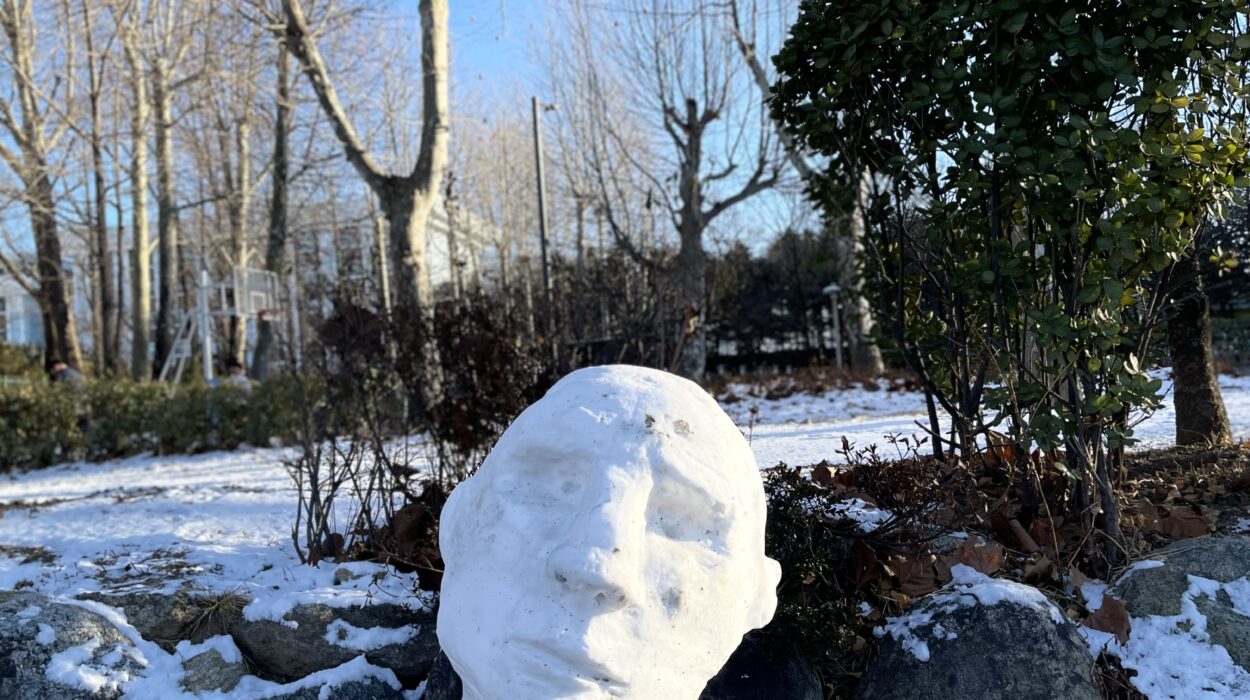 2024 01 07 Zeperito Wonderland