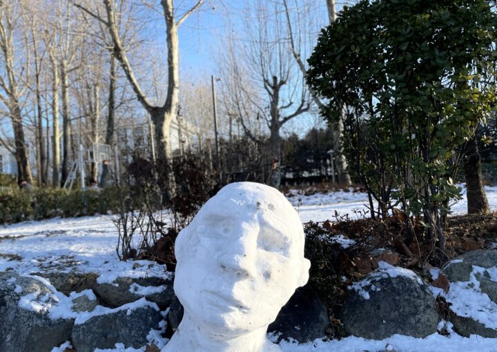 2024 01 07 Zeperito Wonderland