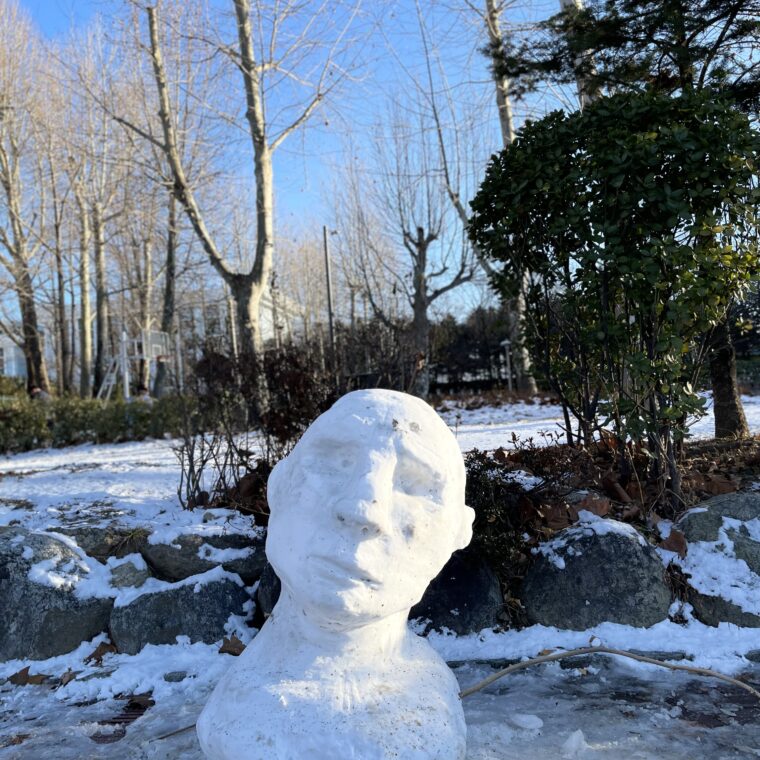 2024 01 07 Zeperito Wonderland