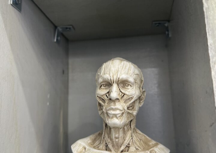 2024 01 22 Zeperito Wonderland