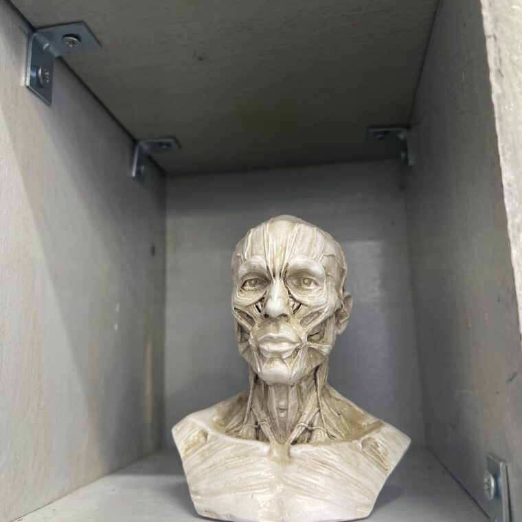 2024 01 22 Zeperito Wonderland