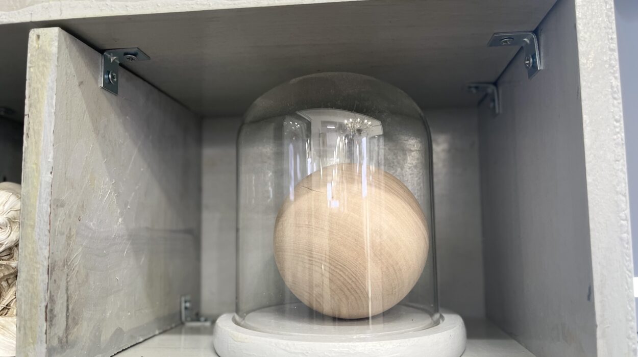 2024 01 21 Zeperito Wonderland