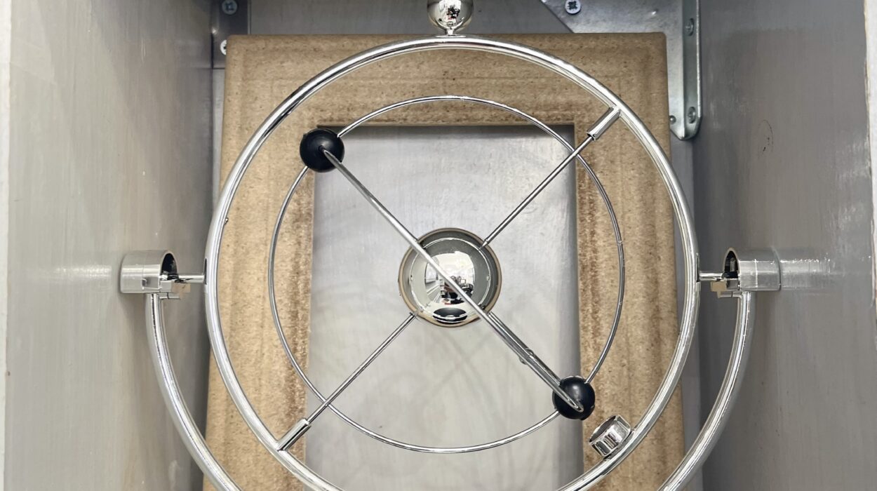 2024 01 20 Zeperito Wonderland