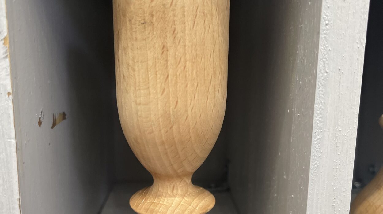 2024 01 19 Zeperito Wonderland