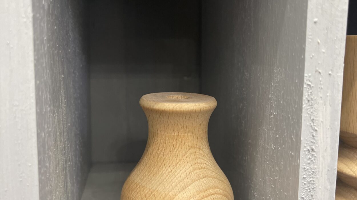 2024 01 18 Zeperito Wonderland