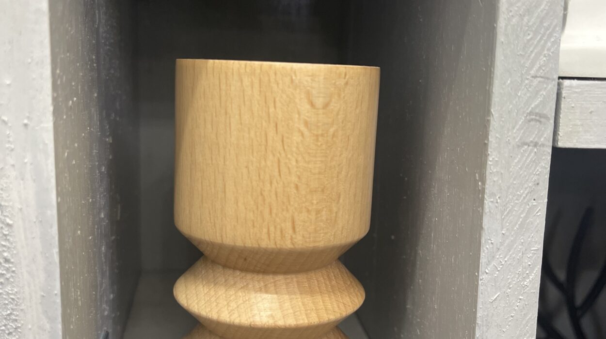 2024 01 17 Zeperito Wonderland