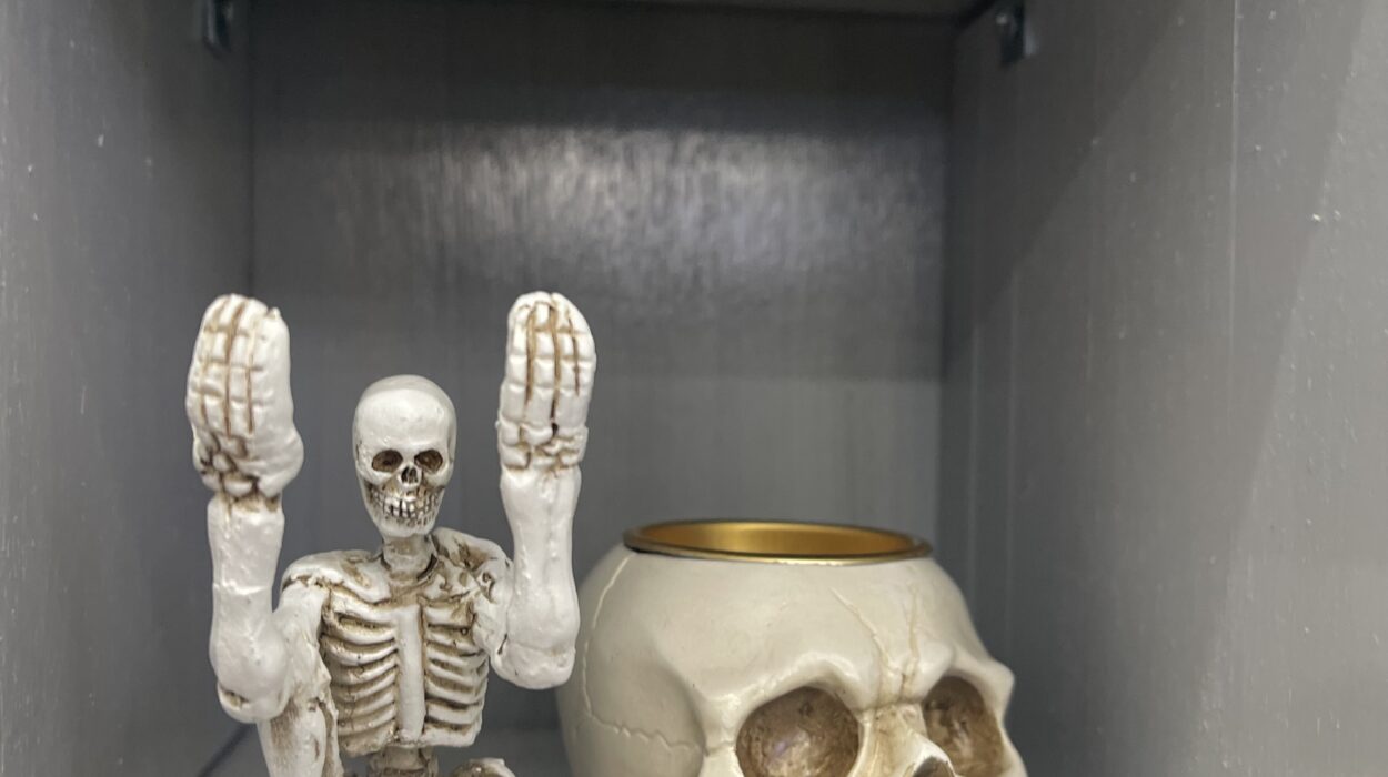 2024 01 16 Zeperito Wonderland