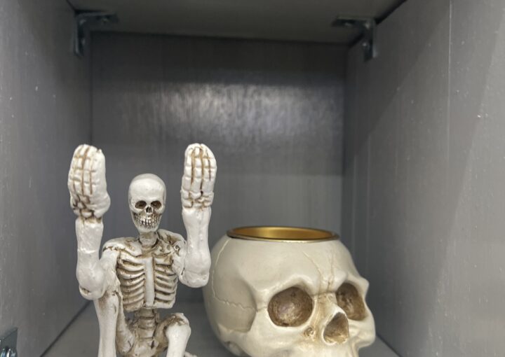 2024 01 16 Zeperito Wonderland