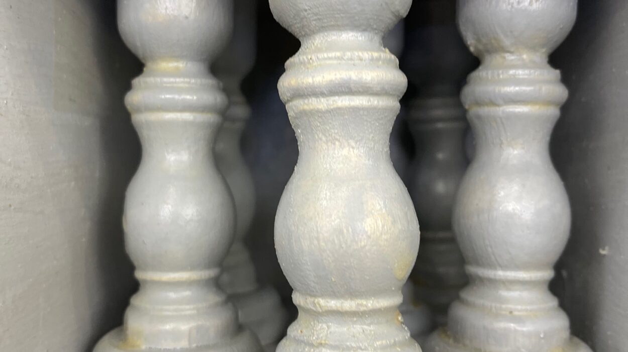 2024 01 30 Zeperito Wonderland