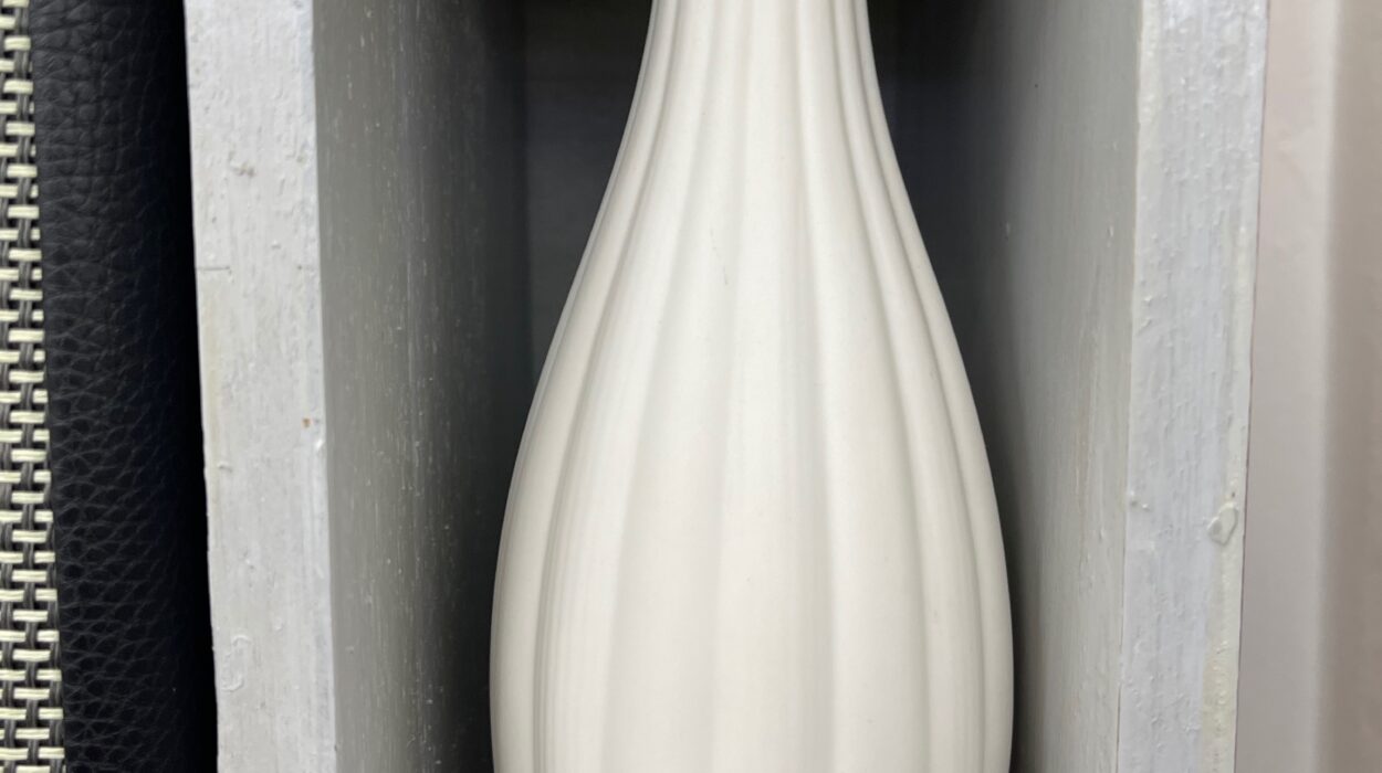 2024 01 31 Zeperito Wonderland