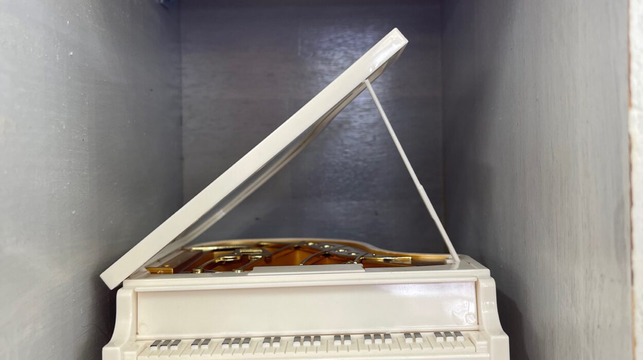 2024 01 29 Zeperito Wonderland