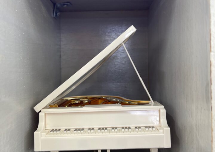 2024 01 29 Zeperito Wonderland