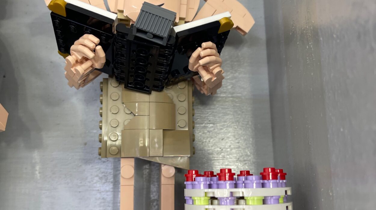 2024 01 26 Zeperito Wonderland