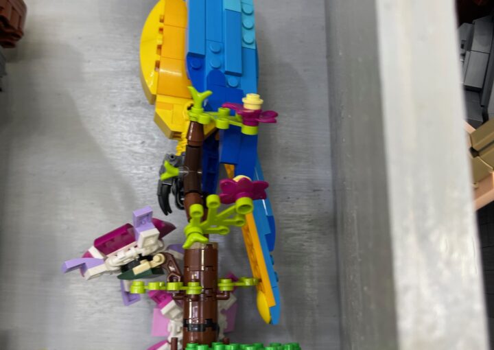 2024 01 27 Zeperito Wonderland