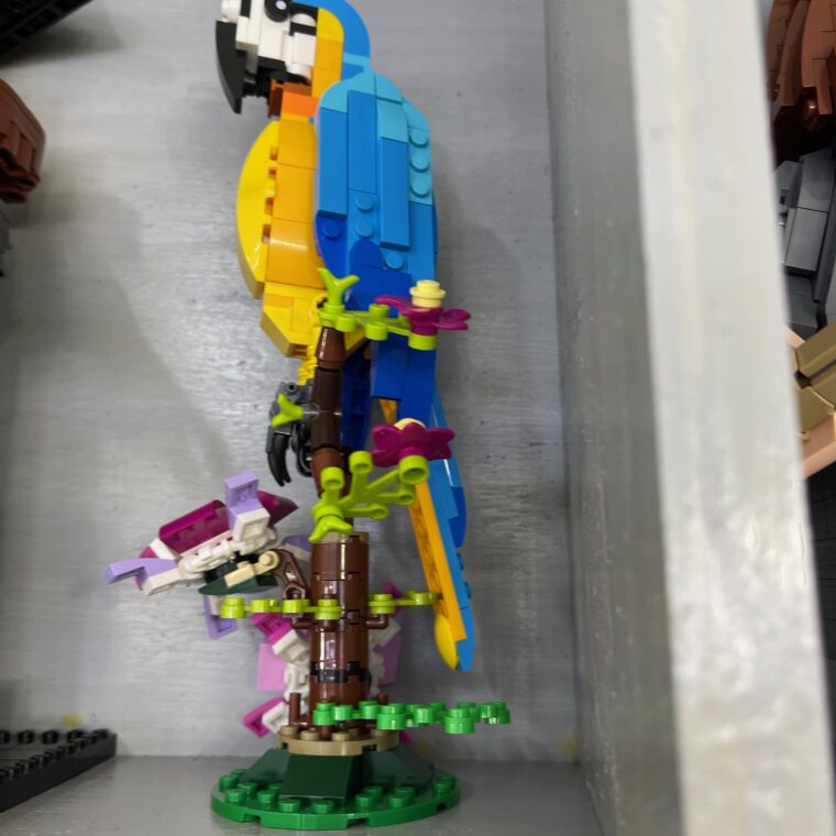 2024 01 27 Zeperito Wonderland