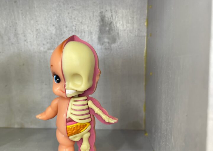 2024 02 05 Zeperito Wonderland