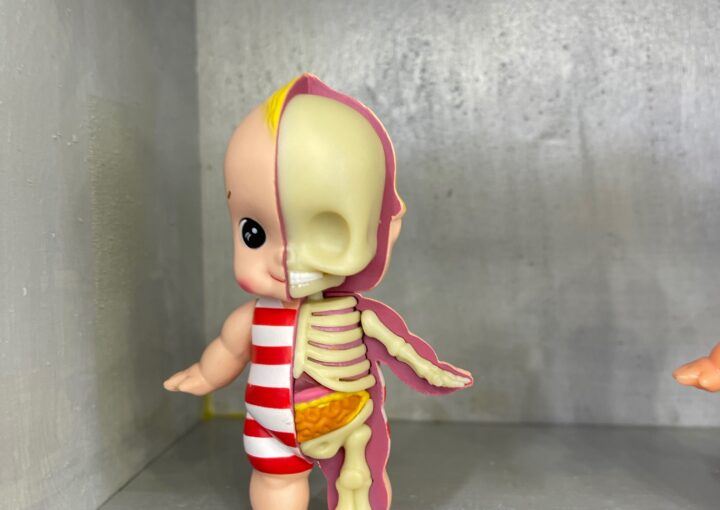 2024 02 06 Zeperito Wonderland