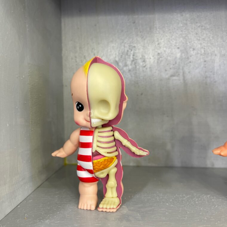 2024 02 06 Zeperito Wonderland