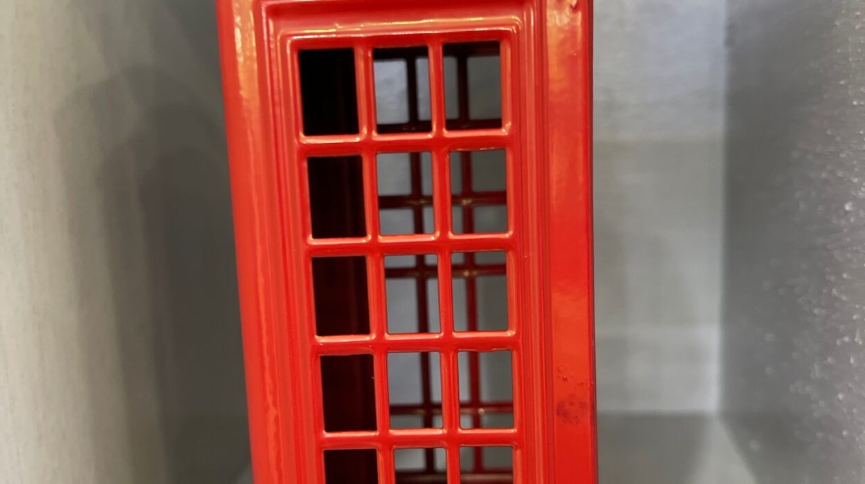 2024 02 07 Zeperito Wonderland