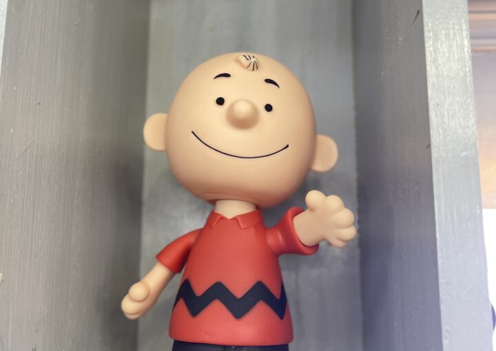 2024 02 01 Zeperito Wonderlnad