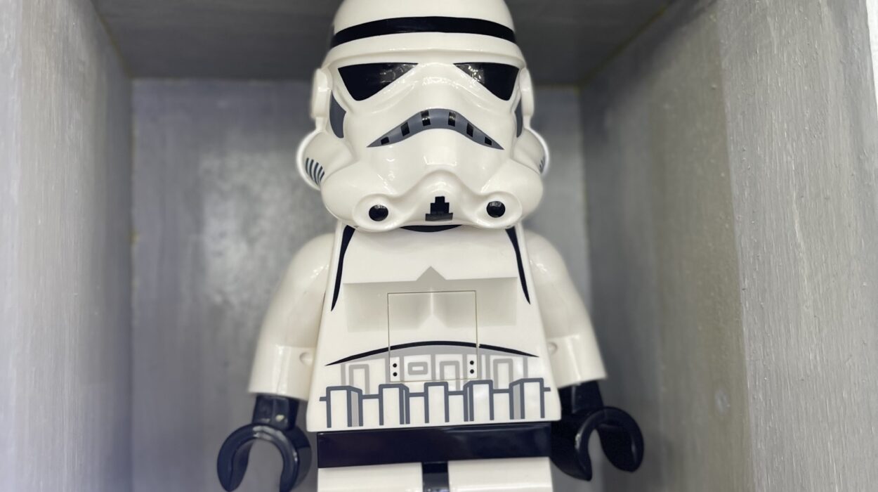 2024 02 03 Zeperito Wonderland