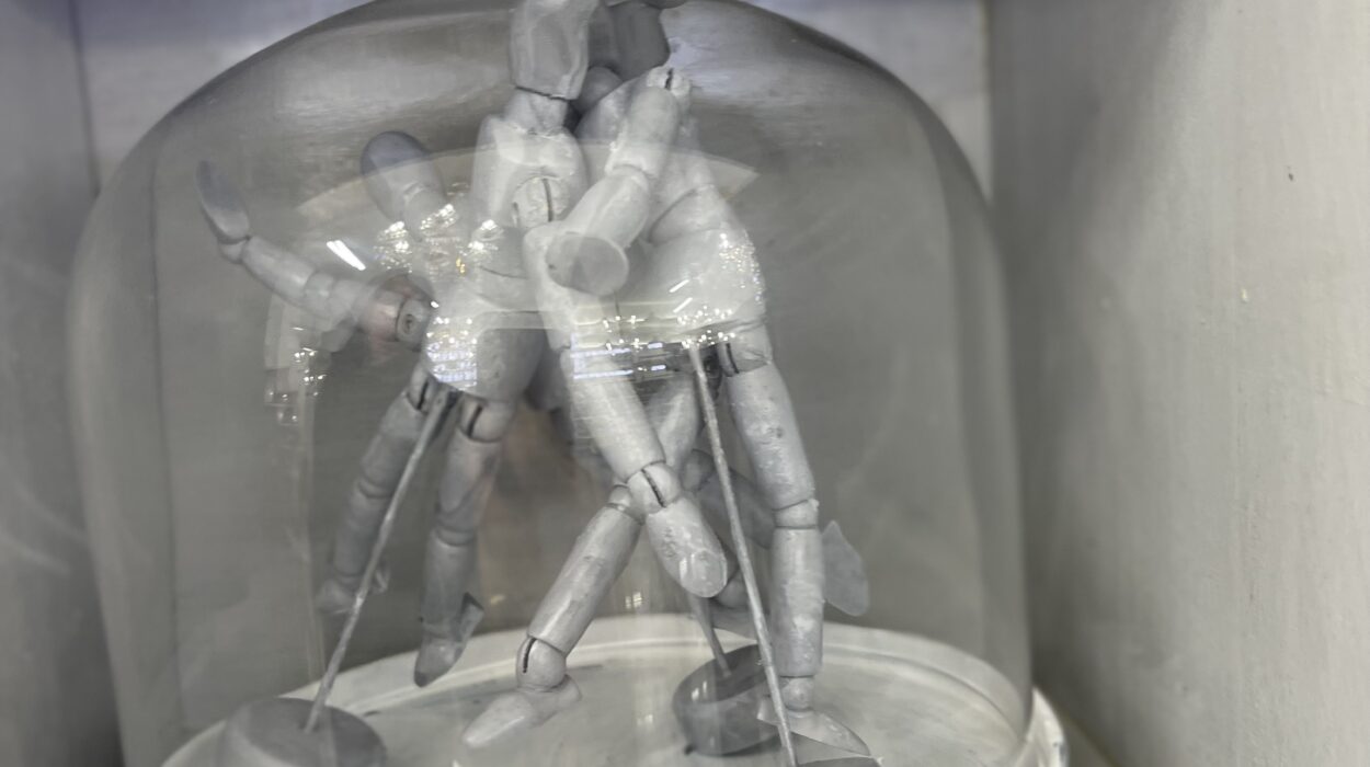 2024 02 04 Zeperito Wonderland