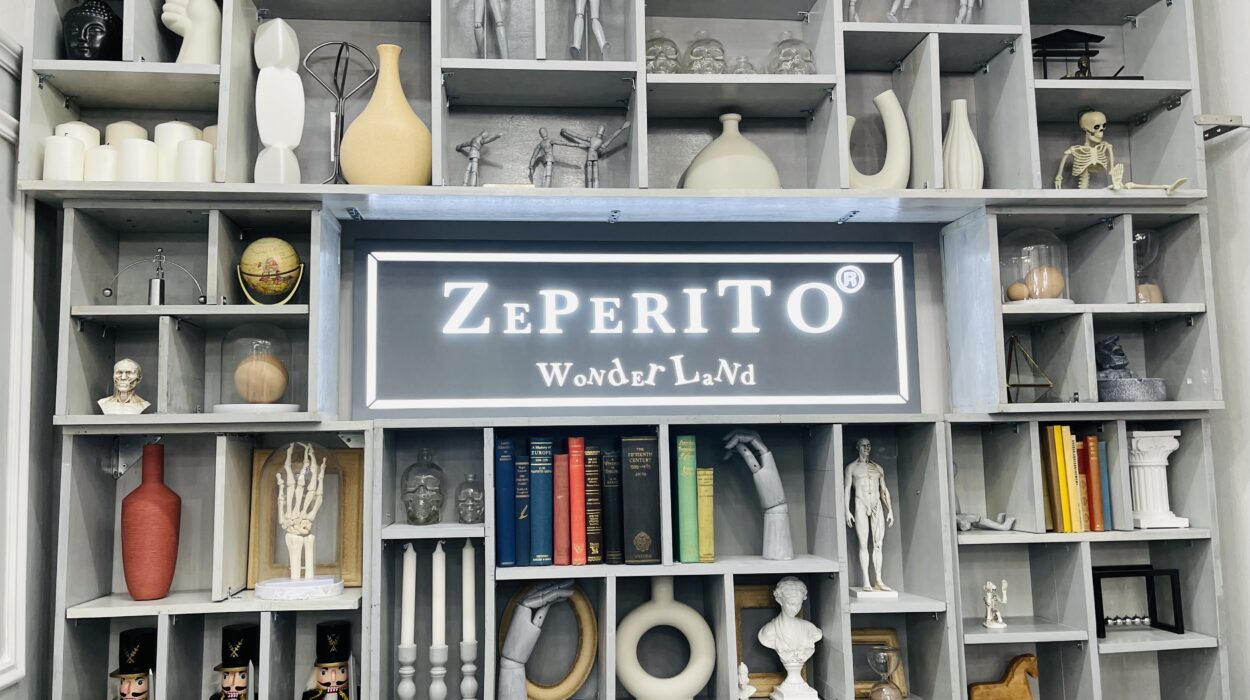 2024 01 13 Zeperito Wonderland