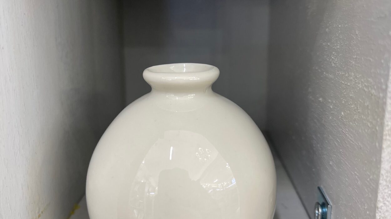 2024 01 11 Zeperito Wonderland