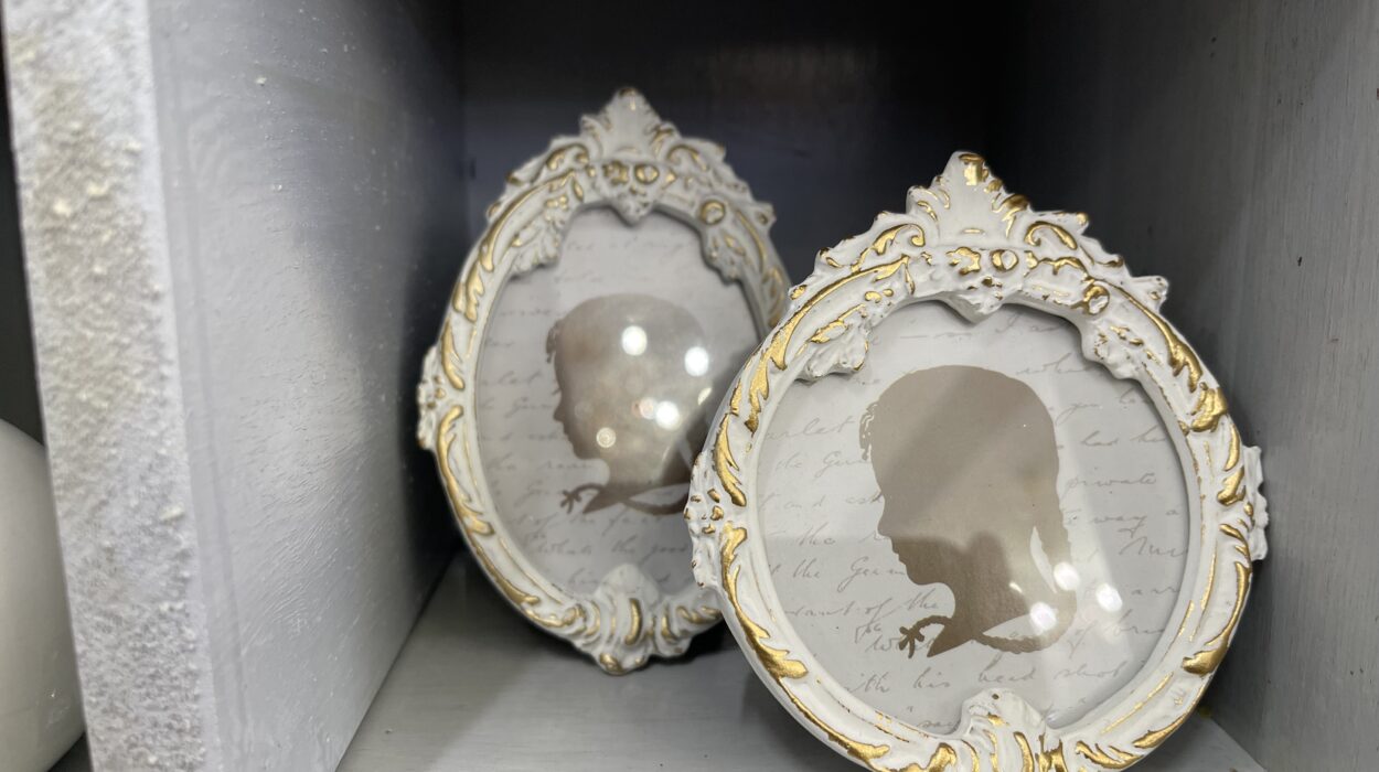 2024 01 10 Zeperito Wonderlnad