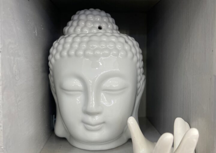 2024 01 09 Zeperito Wonderland