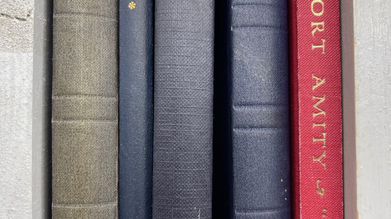 2024 01 08 Zeperito Wonderland