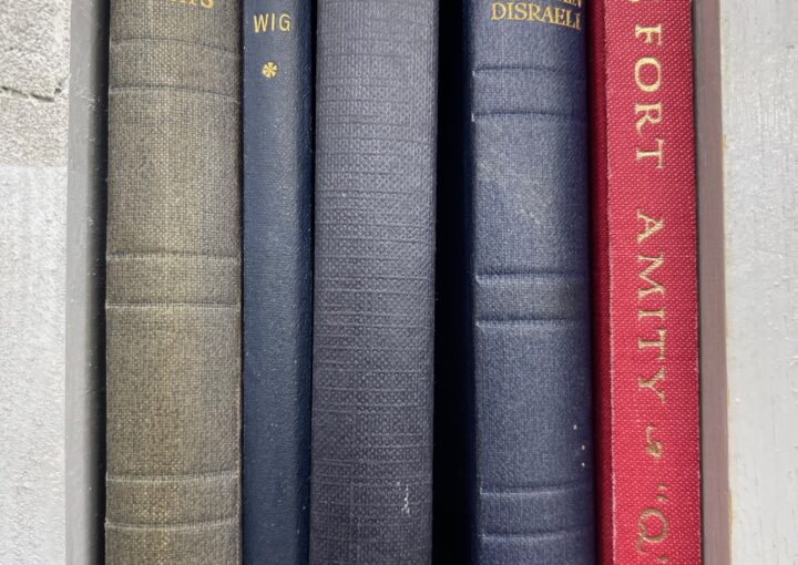 2024 01 08 Zeperito Wonderland