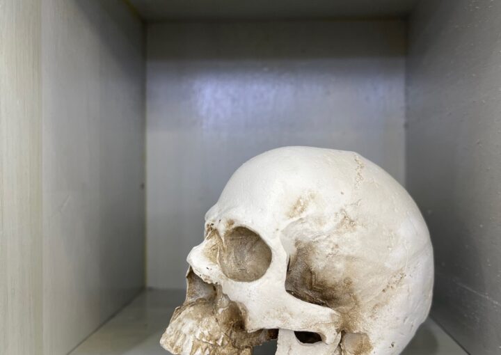 2024 01 12 Zeperito Wonderland