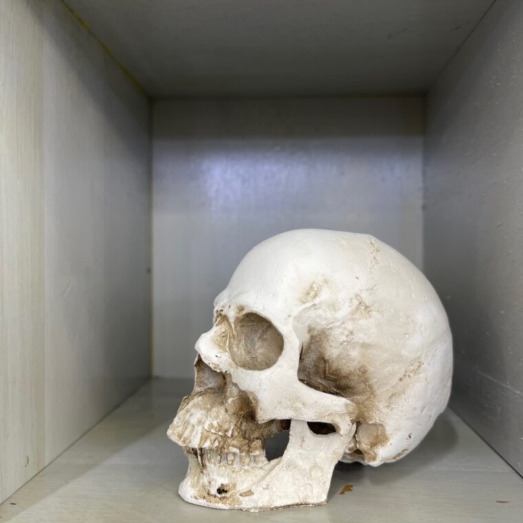 2024 01 12 Zeperito Wonderland