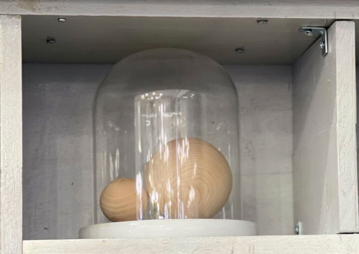 2024 03 03 Zeperito Wonderland