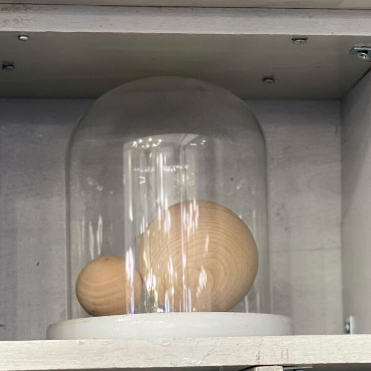 2024 03 03 Zeperito Wonderland