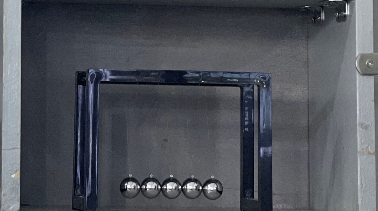 2024 03 13 Zeperito Wonderlandnd