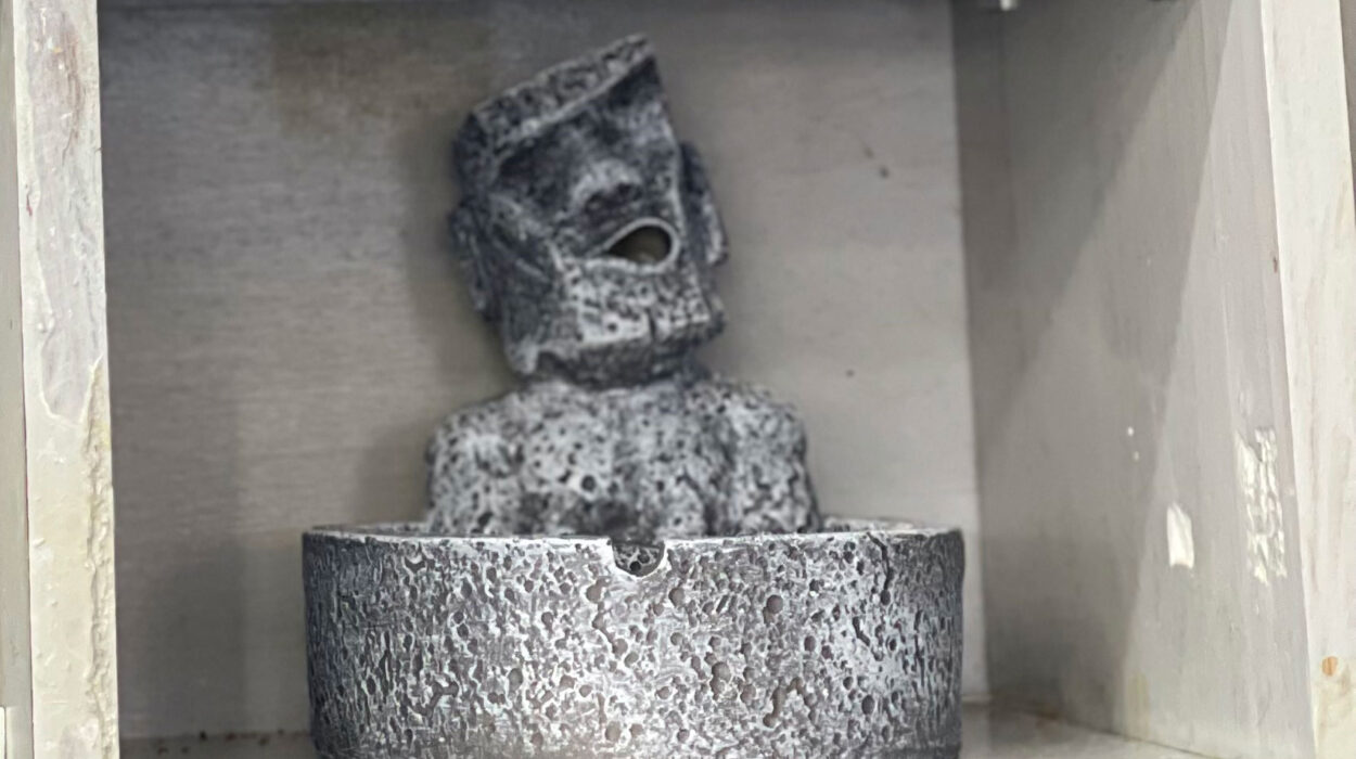 2024 02 29 Zeperito Wonderland