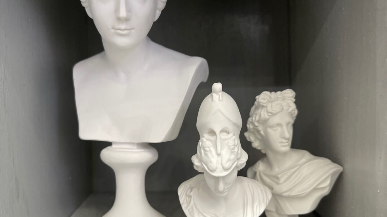 2024 02 12 Zeperito Wonderland