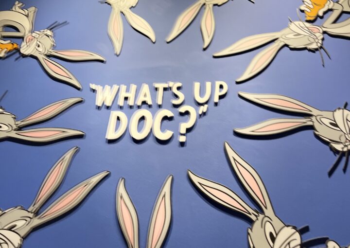 2024 02 18 Zeperito Wonderland