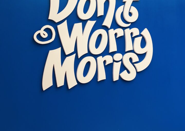 2024 02 17 Zeperito Wonderlnad